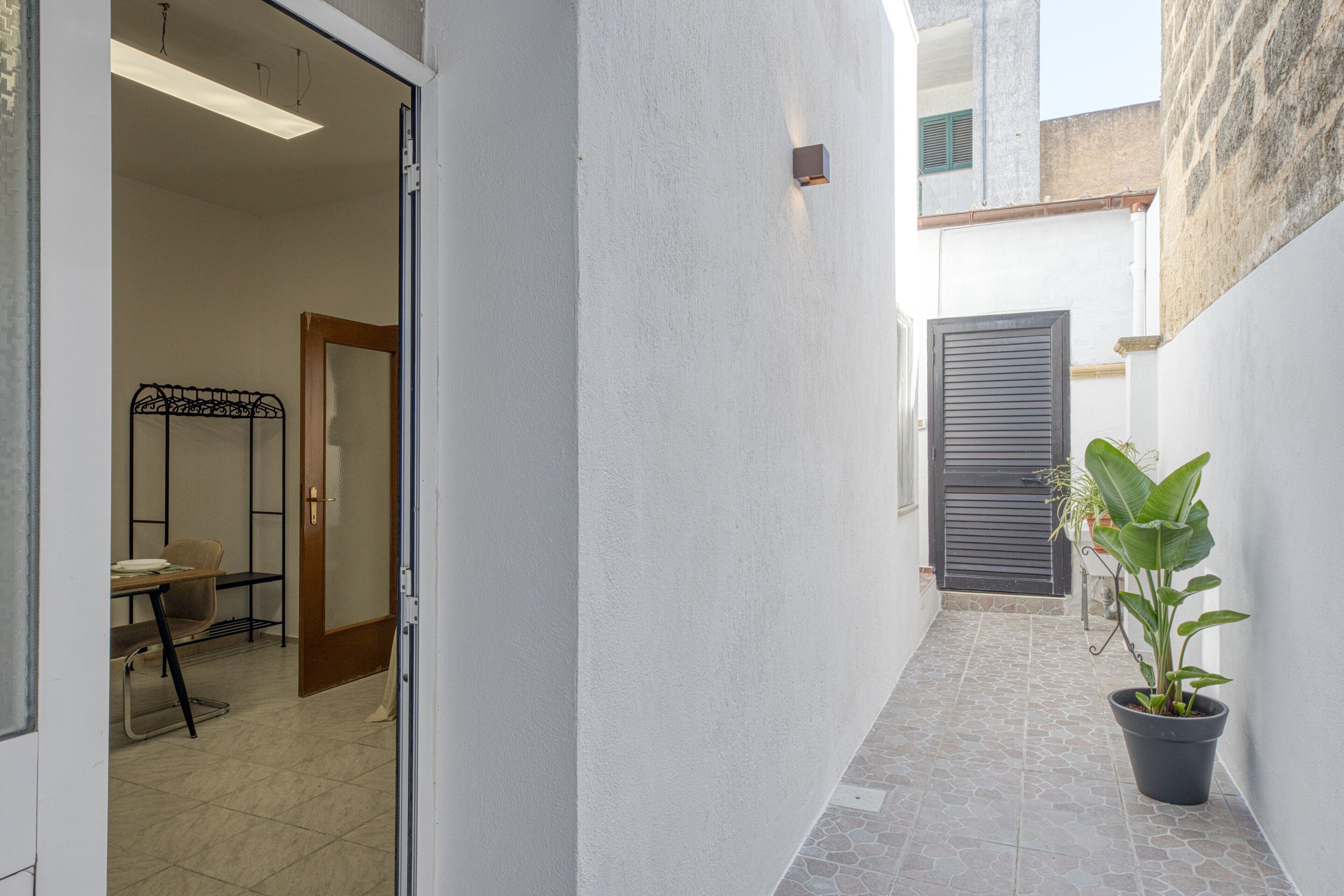 A narrow corridor with a potted plant, a door, and a metal bed frame.