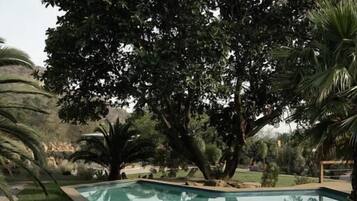 Una piscina rodeada de césped y árboles.