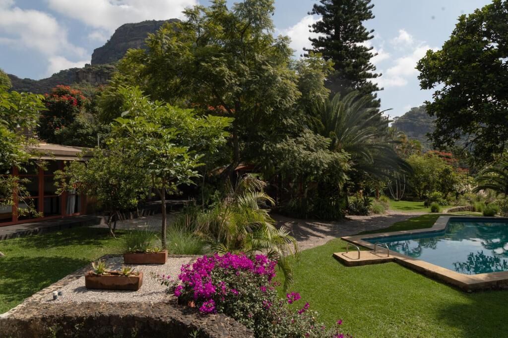 Un jardín ajardinado con piscina, rodeado de diversas plantas y  árboles.