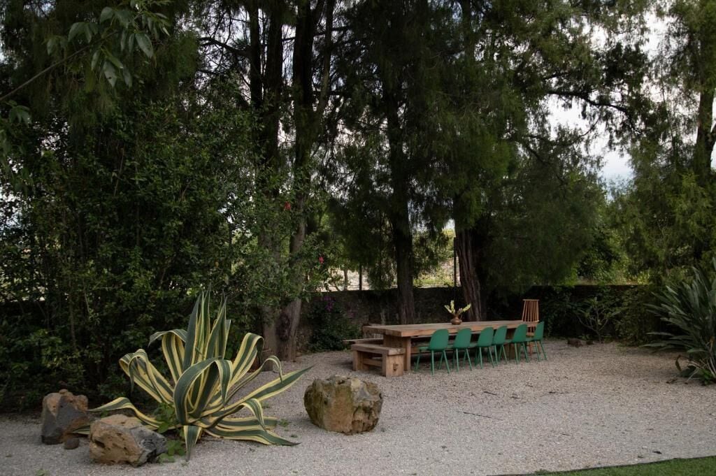 Un patio con mesa y sillas, rodeado de árboles y plantas.