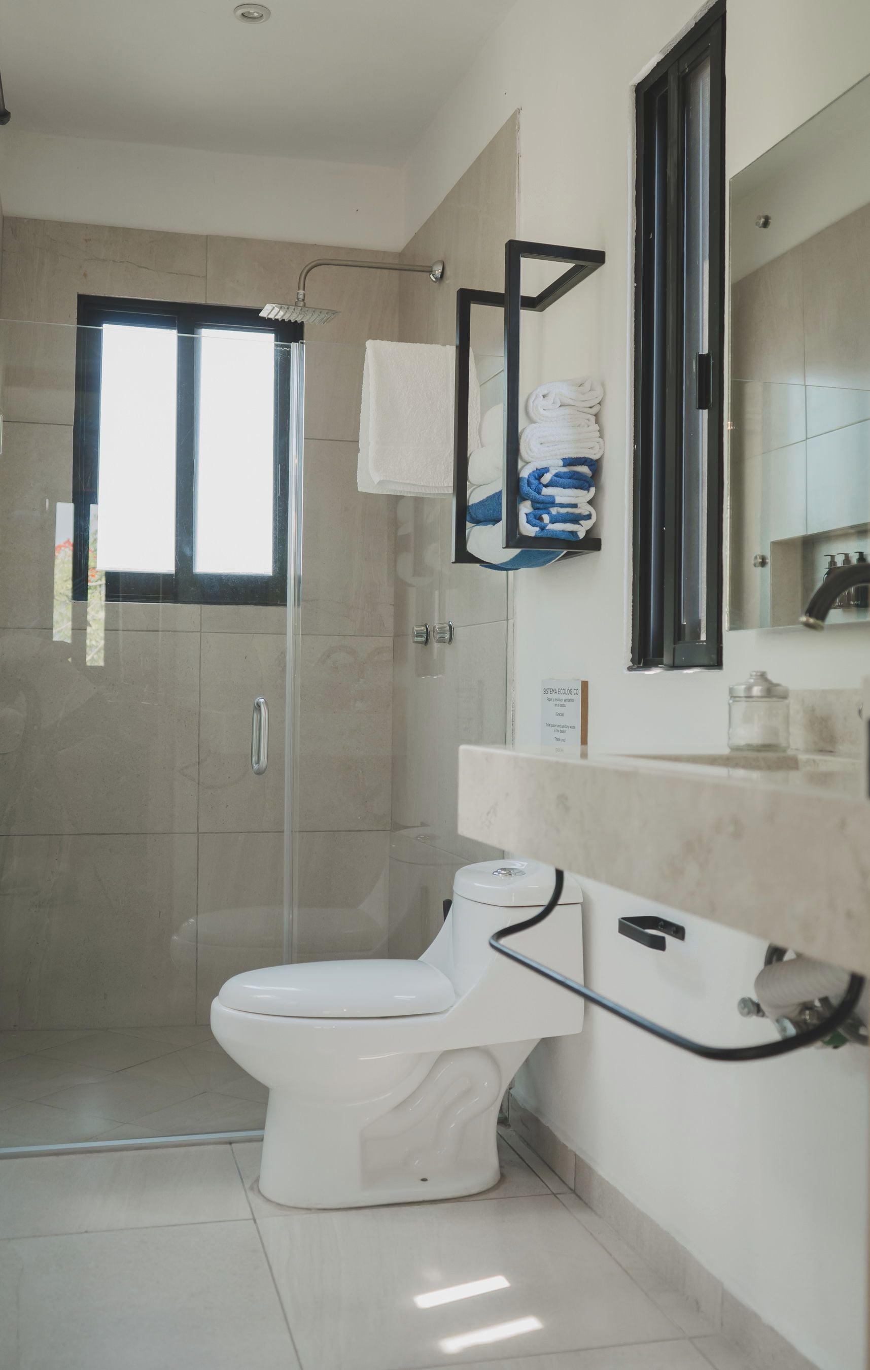 A modern bathroom with a glass shower enclosure, a white toilet, and a vanity with a mirror.