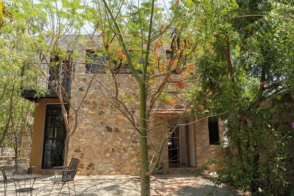 Comfort Double Room | Terrace/patio