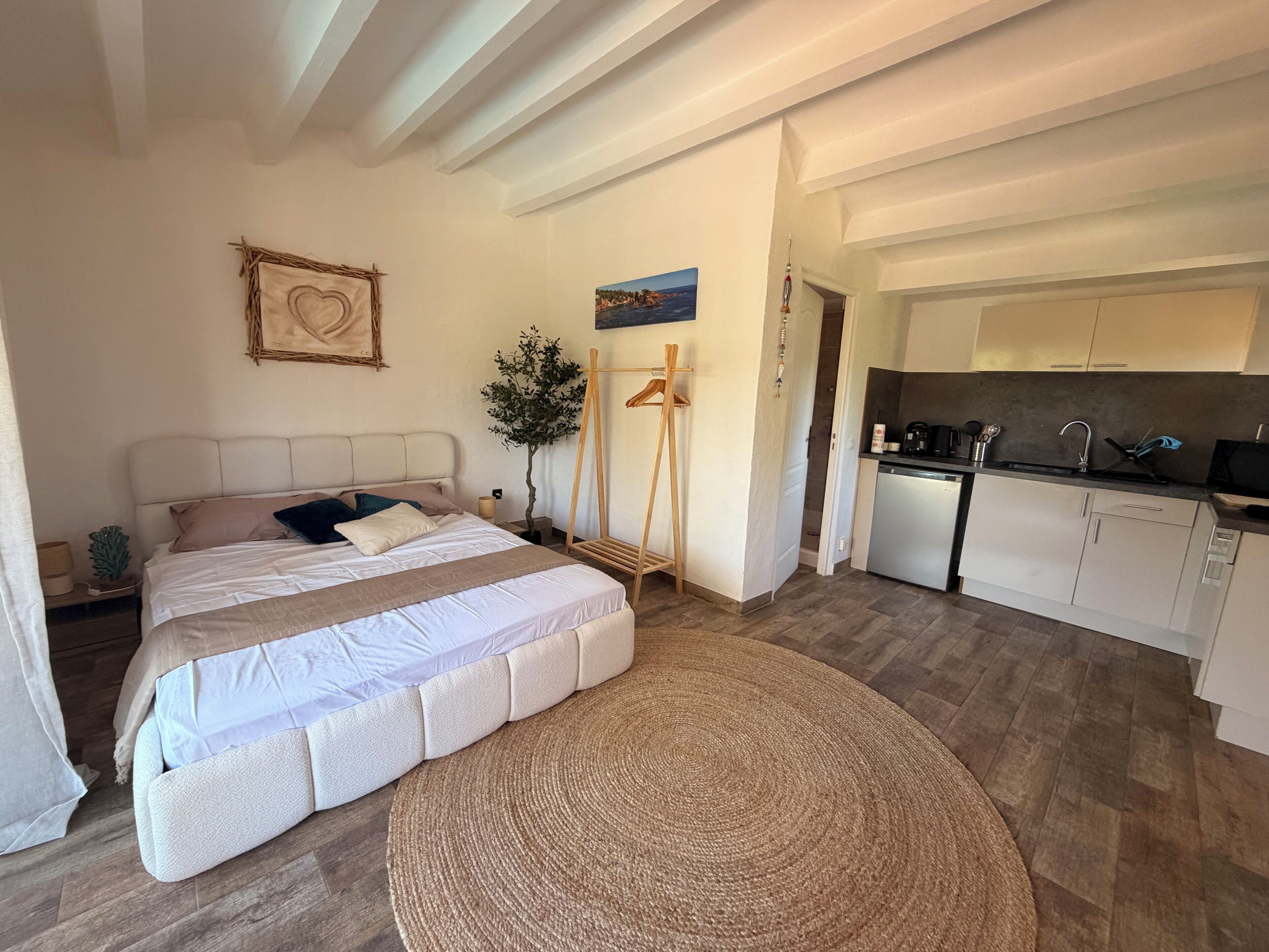 Un dormitorio con cama, mesita de noche y una planta. Hay una zona de cocina con un lavaplatos y armarios.