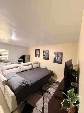 A compact room with a bed, a TV, a small desk, and a potted plant.