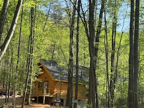Eine Holzhütte, umgeben von hohen Bäumen in einem Wald.