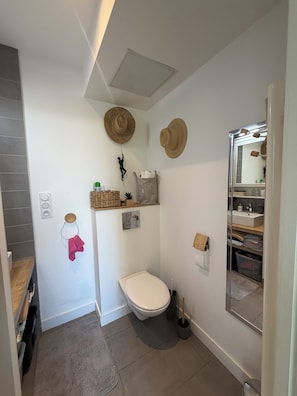 A bathroom with a toilet, a sink, a mirror, and a shelf with toiletries. - Apartment with private ground-floor entrance; Pets allowed (Le Taillan-Médoc)