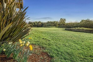 Property grounds - Pet-Friendly Suite With Pool and Spa Access! (Ocean Shores)