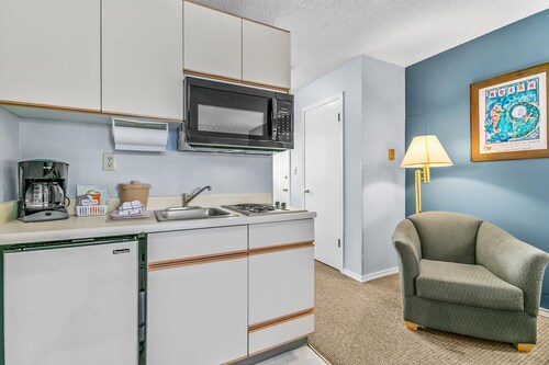 Pet Friendly Condo with King Bed and Kitchenette