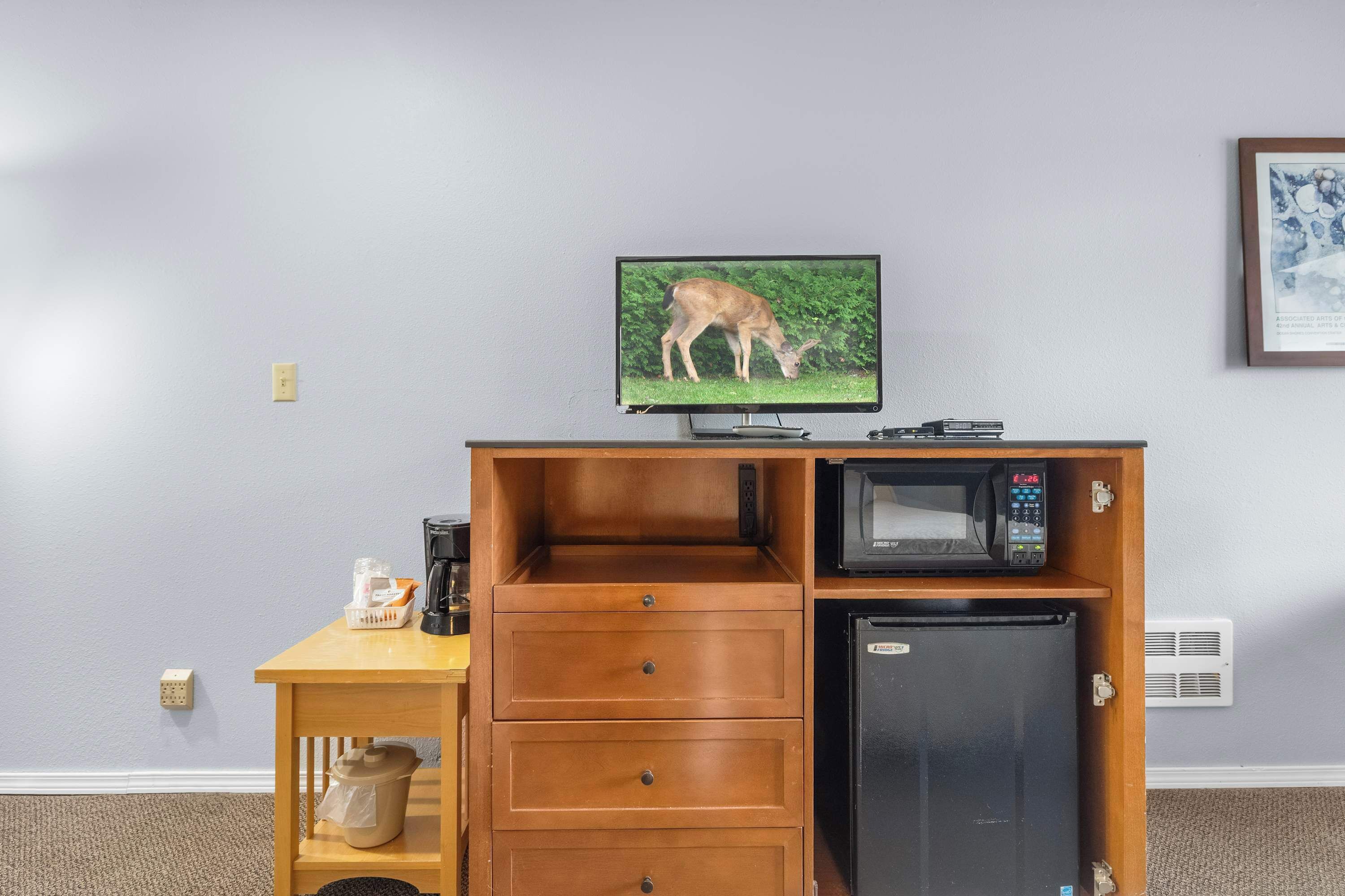 Una habitación con televisión sobre un mueble de madera, microondas y refrigerador.