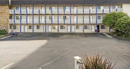Pet-Friendly Hotel Room for 4 - Pool and Hot Tub!
