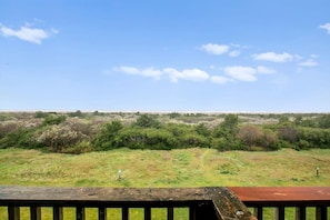 Unclassified image, 5 of 73, button - Ocean View Penthouse Suite - Pet-Friendly - Pool and Hot Tub! (Ocean Shores)