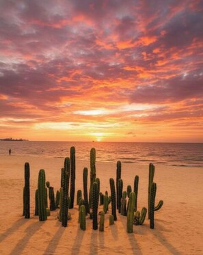 Praia