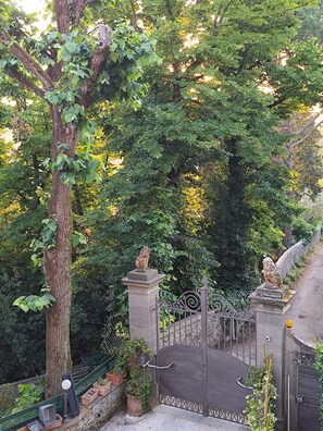 Property grounds - Old Furnace (Borgo di Sopra)