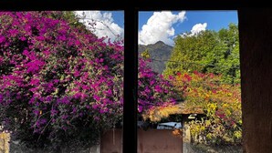 A window with a view of a house surrounded by vibrant bougainvillea flowers and a mountain in the background. - Umbral (Tepoztlan)