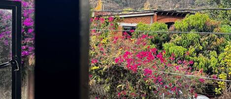 Vista da propriedade