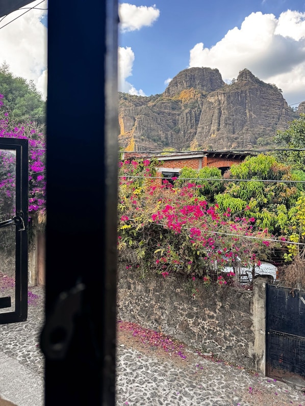 Vista desde la propiedad