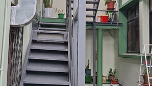Un escalier menant à un palier agrémenté de plantes en pot et d’une échelle.