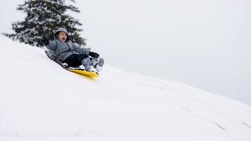 Snø- og skisport