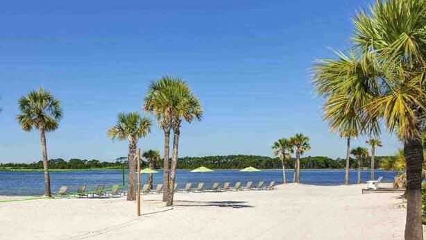 Ein Strand mit Palmen, Liegestühlen und blauem Himmel.