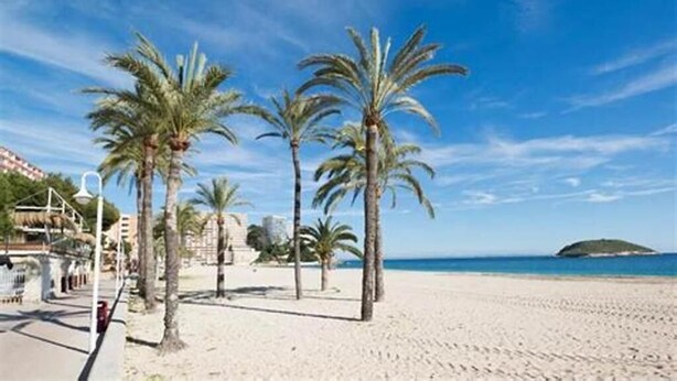 A beach with palm trees, a clear sky, and a distant island. - Oceanfront House, BBQ, Central Location, Easy Parking, Wi-Fi, Very Spacious (Roses)