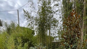 A garden with various plants and rocks. - Domaine Coul'Eau - Nordic Theme (Eaunes)