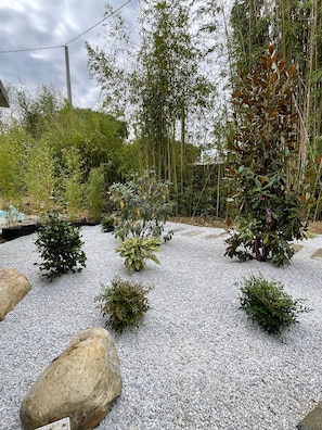 Un jardín con diversas plantas y rocas.