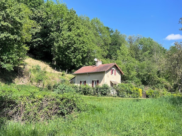 Une maison avec un toit rouge, entourée d’une végétation luxuriante et d’arbres.