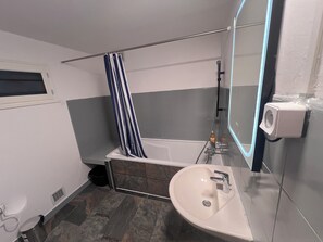 Bathroom - An old house, formerly a gatekeeper's cottage, recently renovated at the start of a hiking trail (Donzy)
