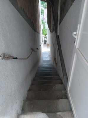 Eine enge Treppe mit einer Seil leiste an der linken Wand, einer Topfpflanze oben und einer weißen Tür rechts.