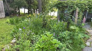 Un jardín con diversas plantas y un sendero de piedra.