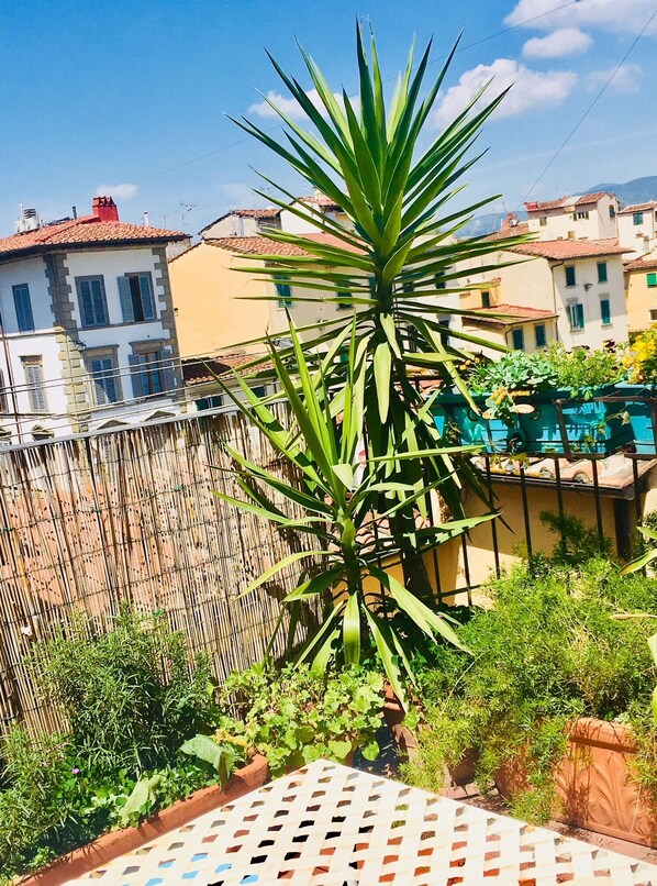 Property grounds - Penthouse in Sant'Ambrogio / Santa Croce (Firenze)
