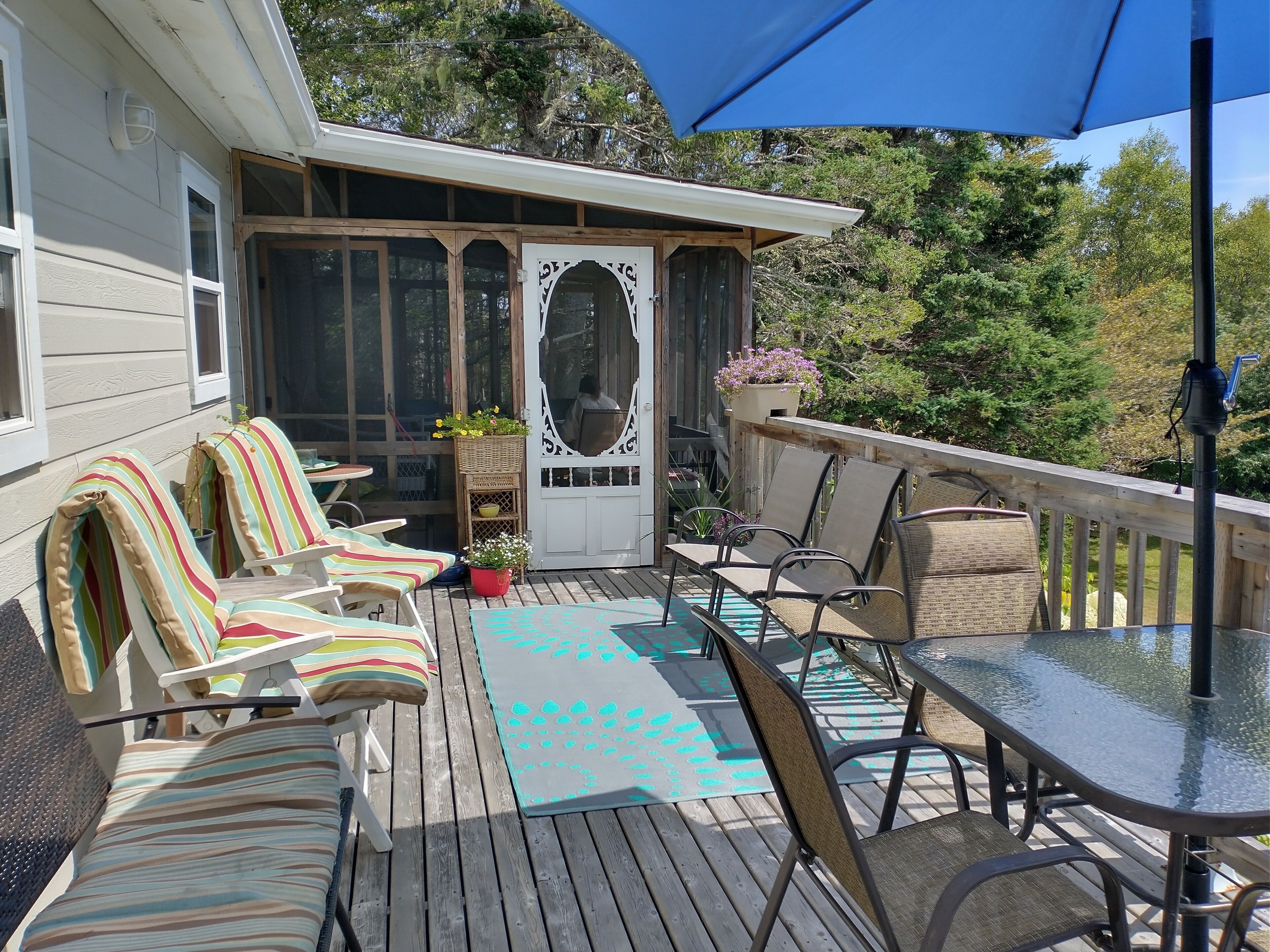 Une terrasse couverte, aménagée avec du mobilier d’extérieur, une table et une plante en pot.