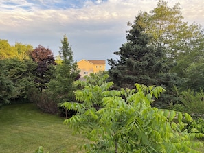 Un quartier résidentiel avec une maison, une végétation luxuriante et un ciel dégagé.
