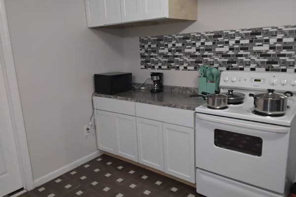 Deluxe Apartment | Private kitchen | Coffee/tea maker, full-size fridge, microwave, stovetop