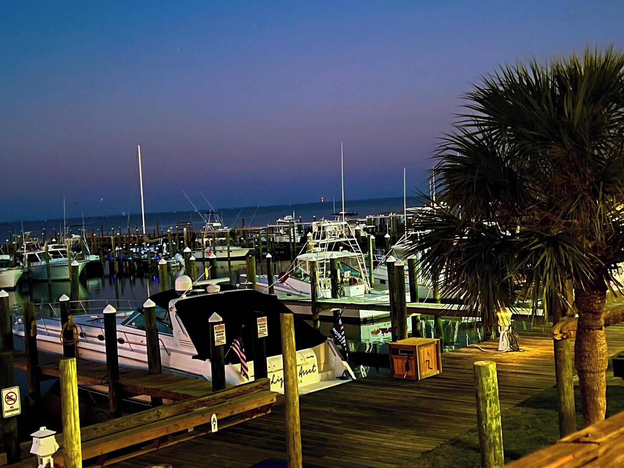 A marina with boats docked, wooden walkways, and a palm tree.