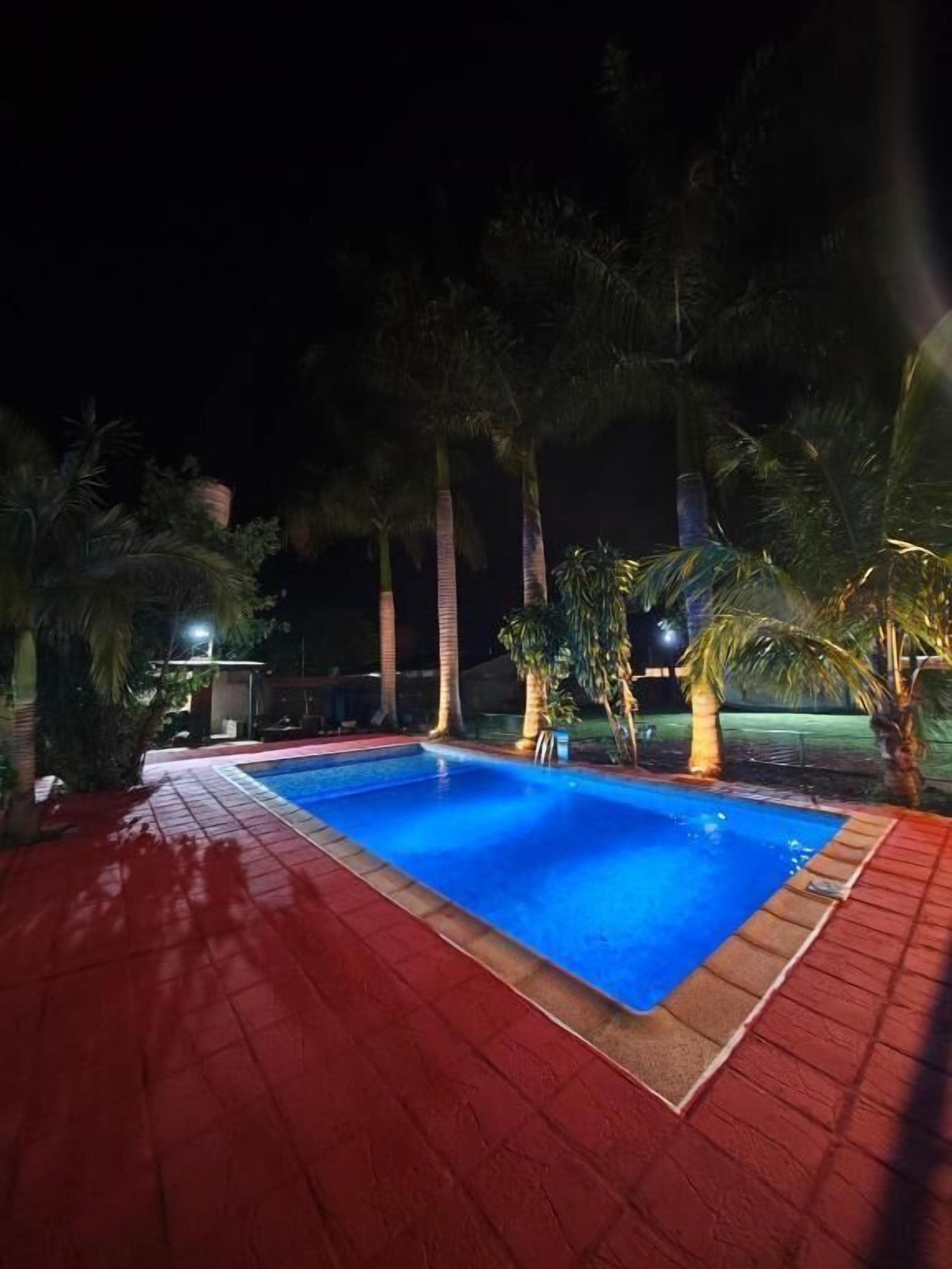 A swimming pool with a red tiled deck, surrounded by palm trees and a dark night sky.