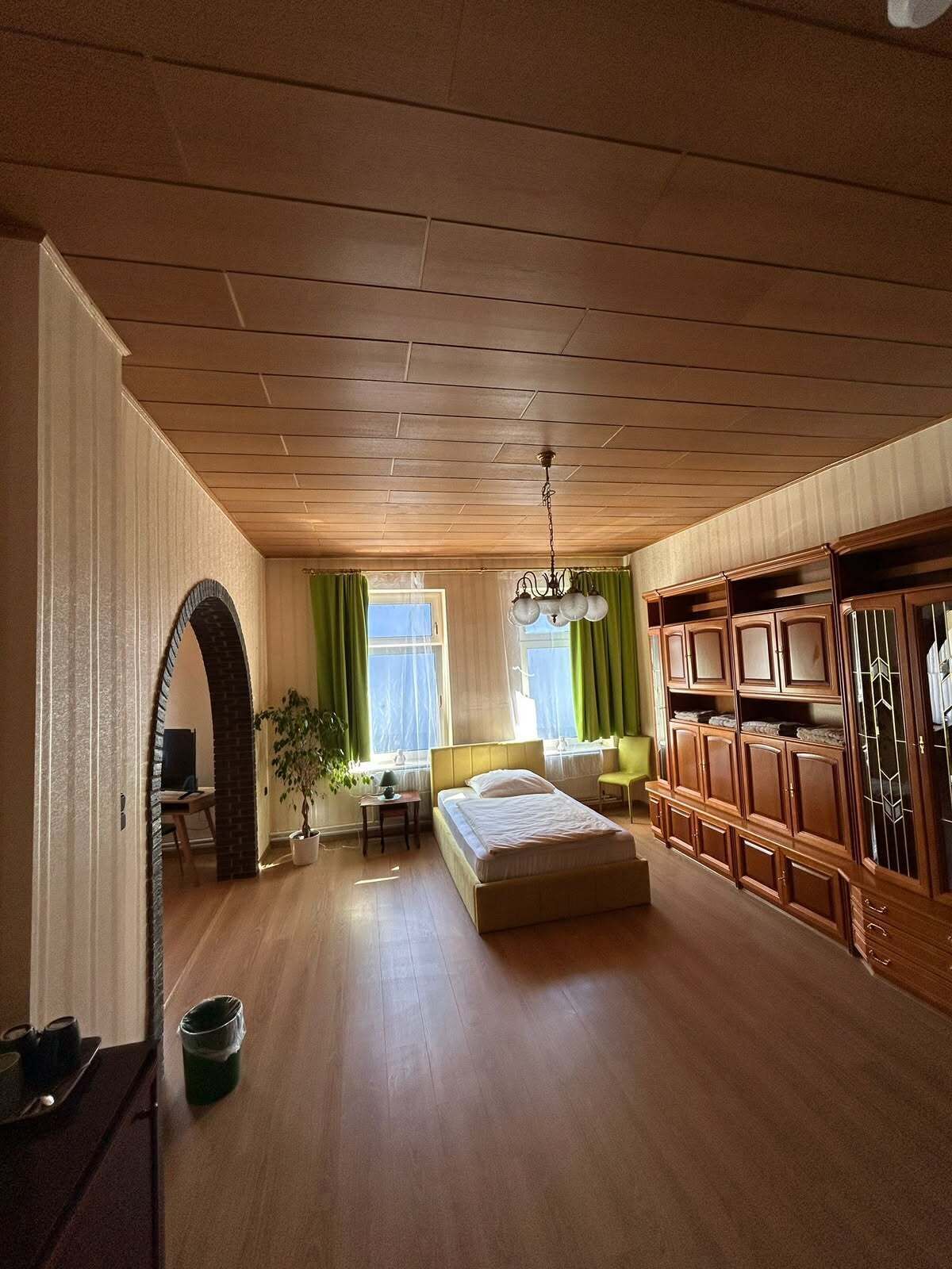 Una habitación amplia con cama, escritorio, silla, planta y armario.