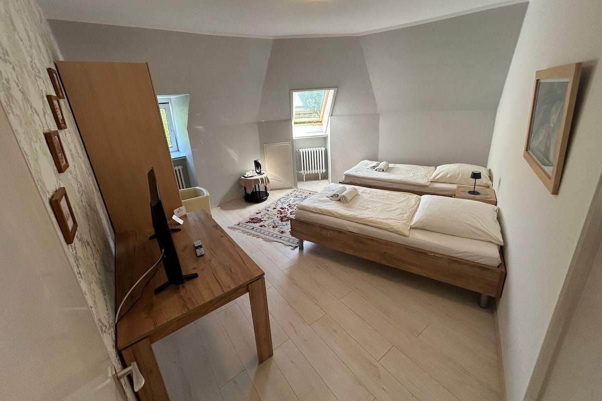 Habitación doble, baño compartido | Escritorio y espacio para trabajar con un portátil
