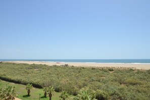 Ein Strand mit blauem Himmel, sandigem Ufer und üppigem Grün im Vordergrund.