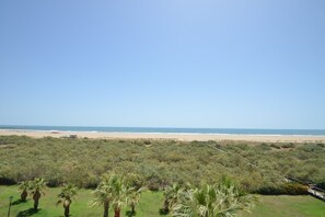 Eine Küstenlandschaft mit Strand, dichter Vegetation und blauem Himmel.