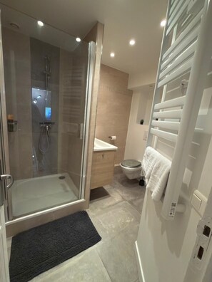 Hair dryer, towels, soap, toilet paper - Vrbo Property (Rueil-Malmaison)