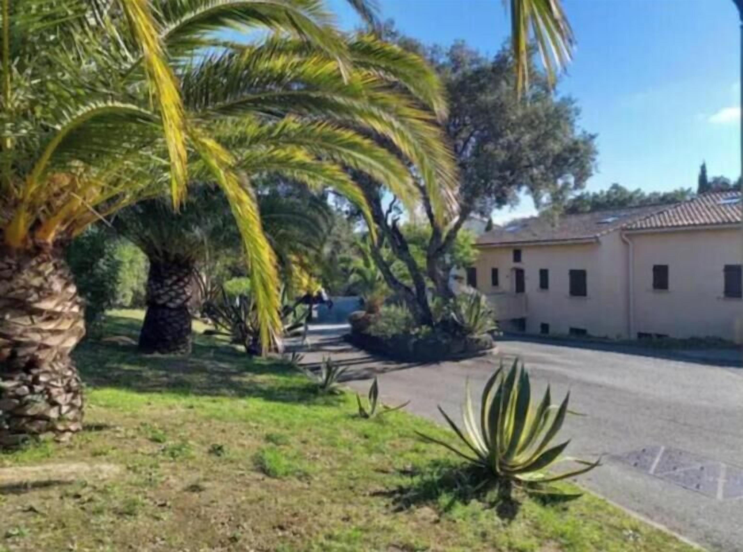 A residential area with a paved driveway, palm trees, and a building with a tiled roof.