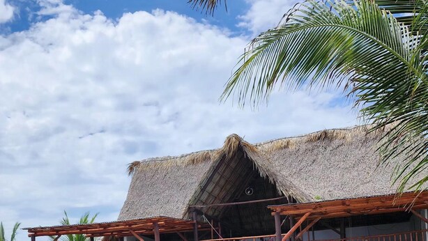 Una piscina con muelle de madera, una estructura con techo de paja y vista a palmeras.