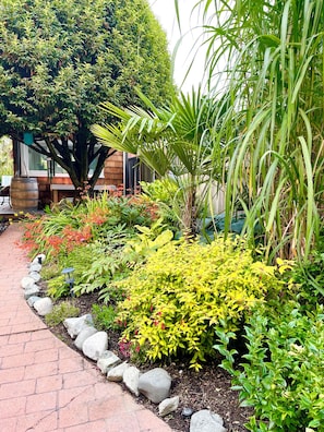 Un sentier de jardin bordé de différentes espèces de plantes, avec une clôture en bois en arrière-plan.