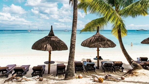 Een strand met palmbomen, ligbedden en rieten parasols.