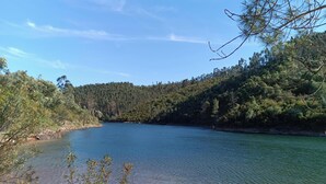 Ein ruhiger See, umgeben von dichtem Wald.
