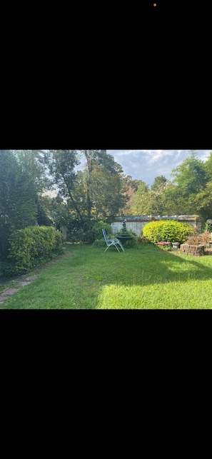 Un espace extérieur verdoyant avec une chaise bleue, un mur de briques et un feuillage dense.