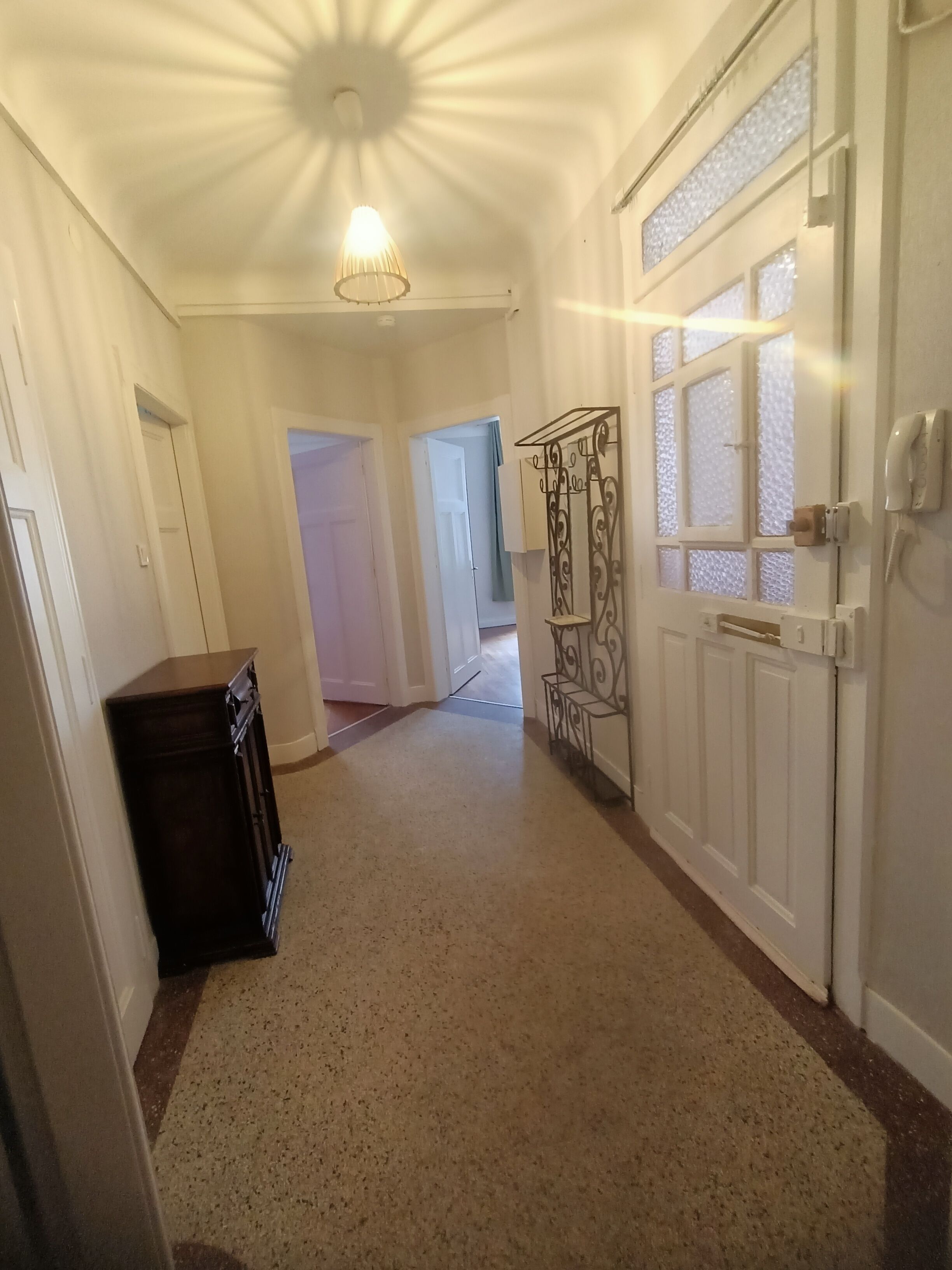 A hallway with a carpeted floor, a ceiling light fixture, a door with frosted glass panels, and a wall-mounted phone.