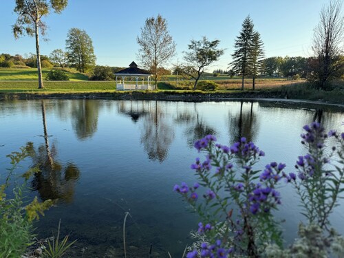 Nature Retreat