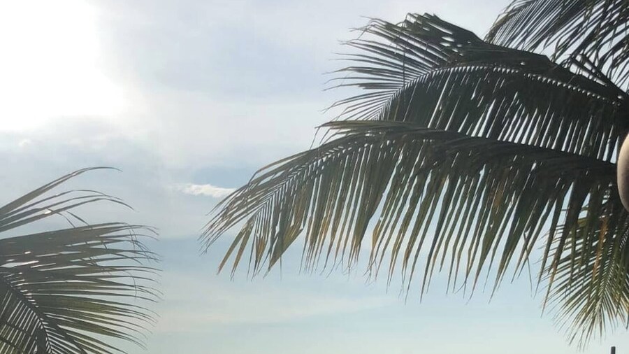 Casa Playa Cieneguita